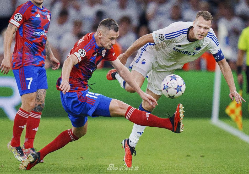 面对灰熊的 面对灰熊的